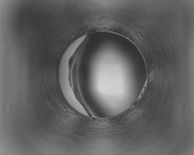 X0000075411156200610061950