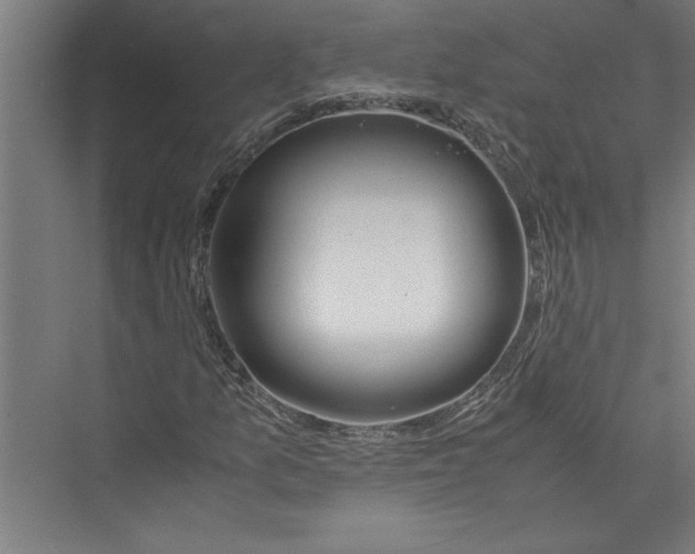 X0000075411157200610061950