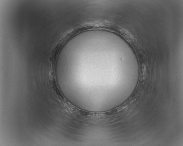 X0000075411158200610061950