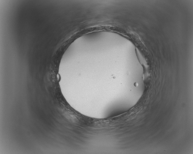 X0000075411159200610061950