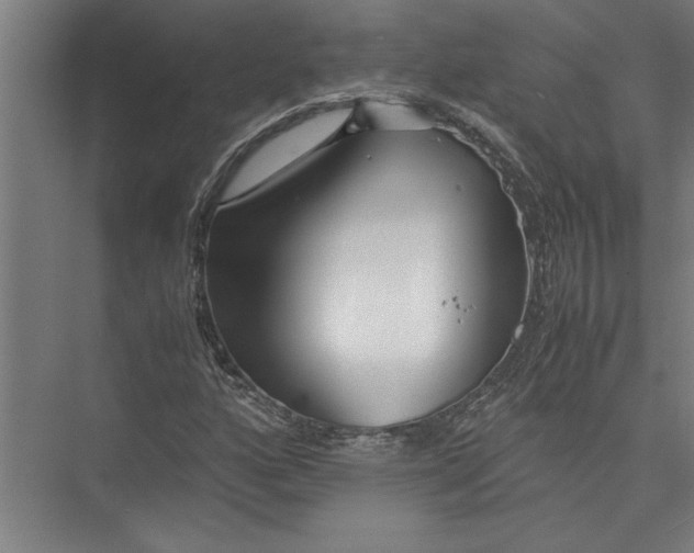 X0000075411160200610061950