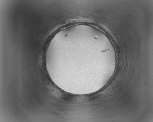 X0000075411163200610061950