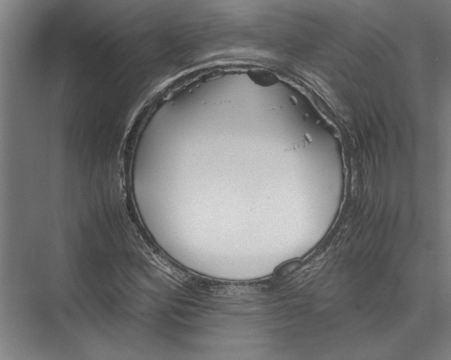 X0000075411164200610061950