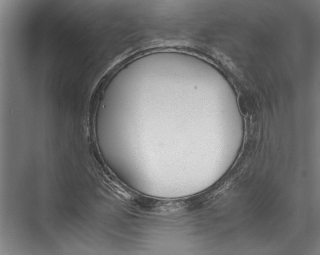 X0000075411165200610061950