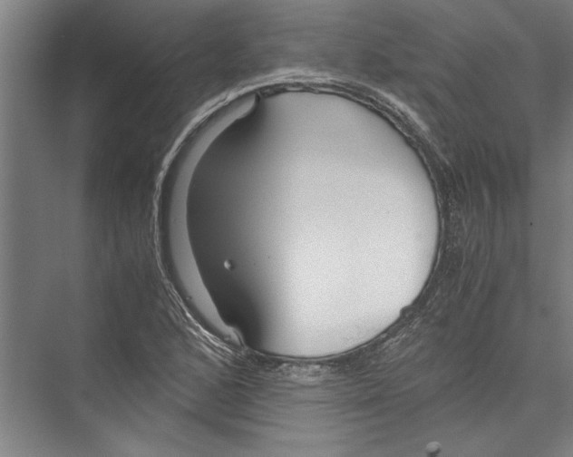 X0000075411168200610061950