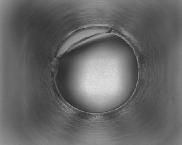 X0000075411169200610061950