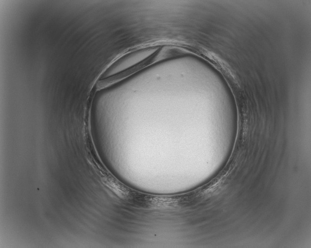 X0000075411170200610061950