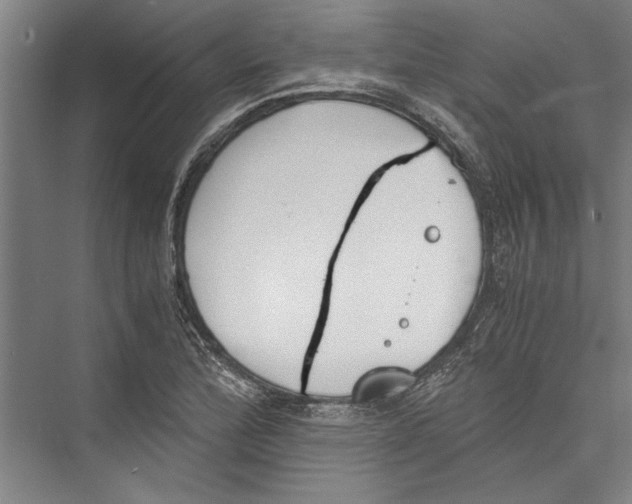 X0000075411172200610061950