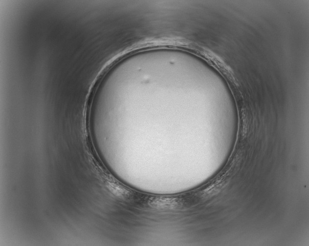 X0000075411174200610061950