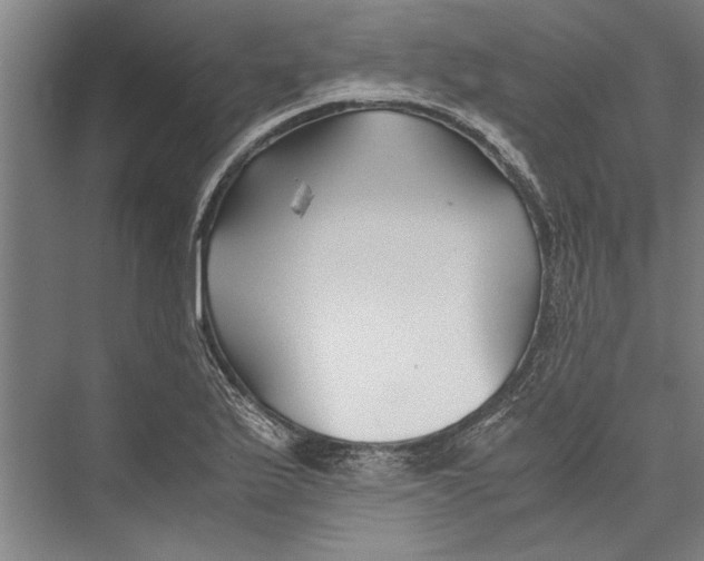 X0000075411175200610061950