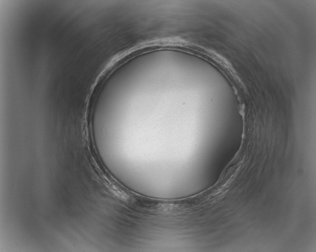 X0000075411176200610061950