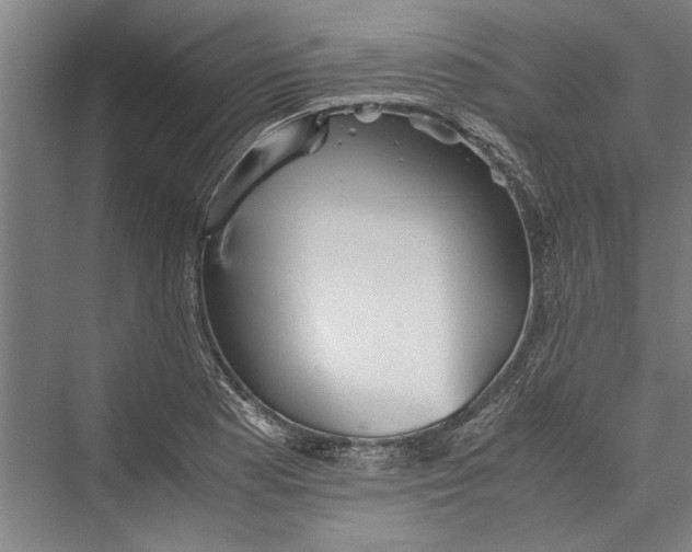 X0000075411177200610061949