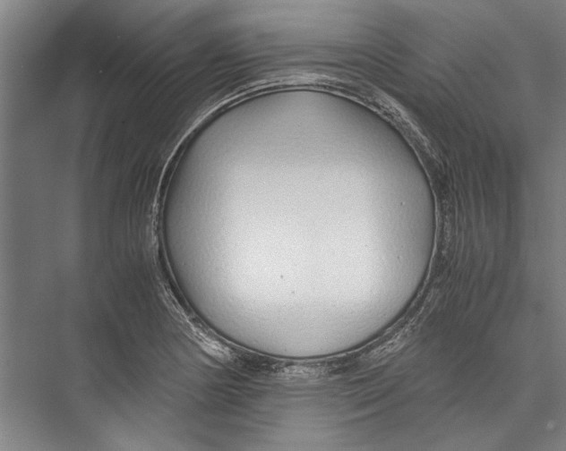 X0000075411178200610061949