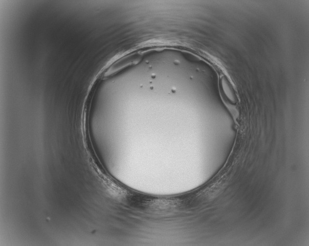 X0000075411179200610061949