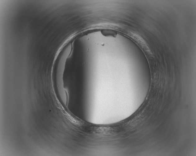 X0000075411180200610061949