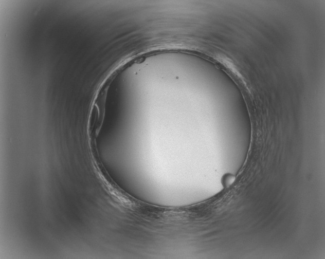 X0000075411181200610061949