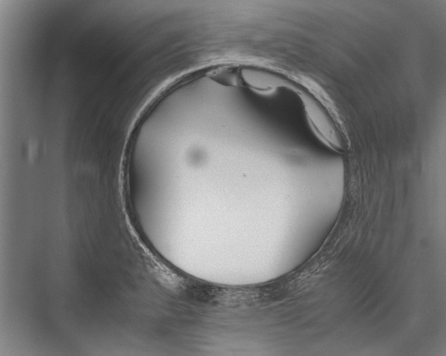 X0000075411183200610061949