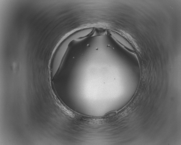 X0000075411184200610061949