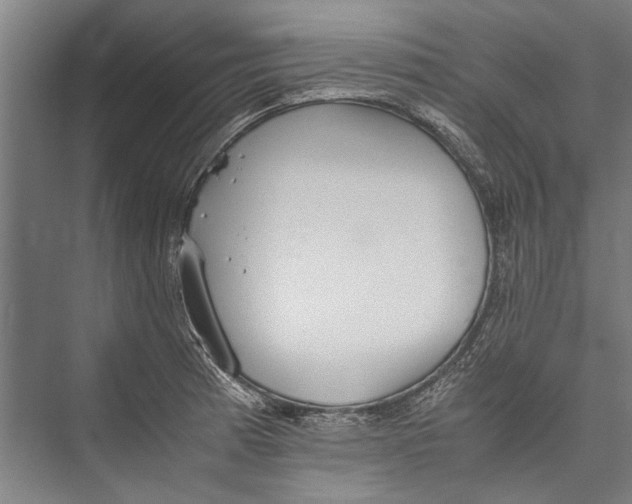 X0000075411185200610061949