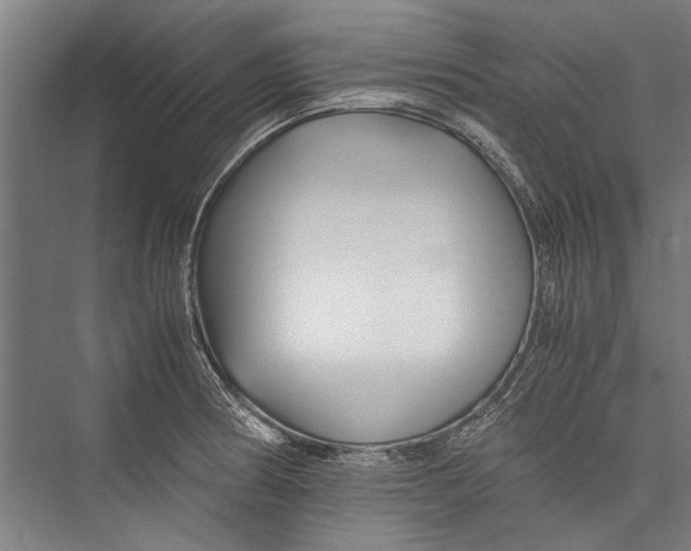 X0000075411186200610061949