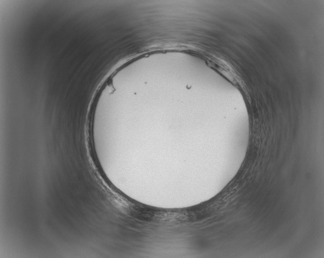 X0000075411187200610061949