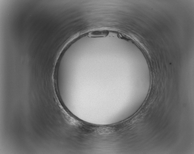 X0000075411189200610061949