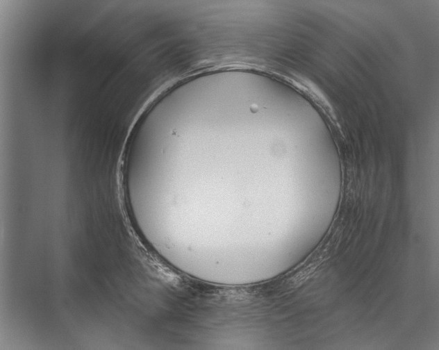 X0000075411190200610061949