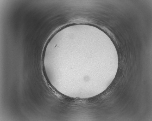 X0000075411191200610061949