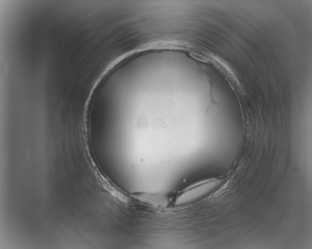 X0000075411192200610061949