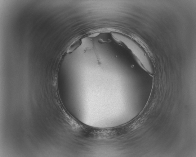 X0000075411193200610061949