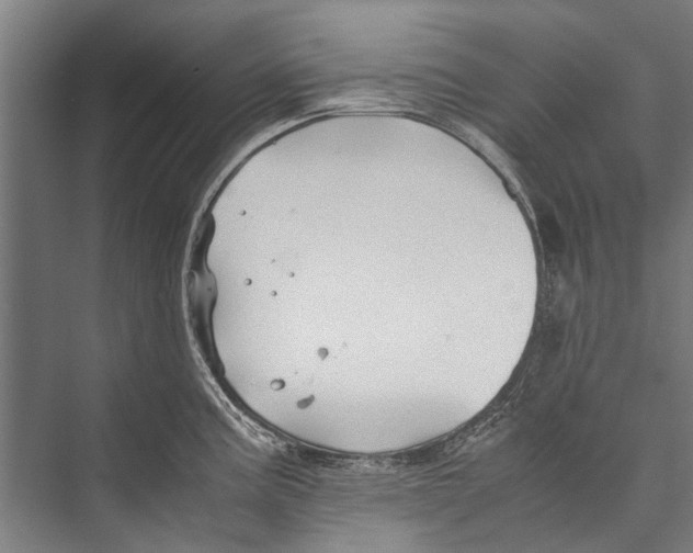 X0000075411195200610061949