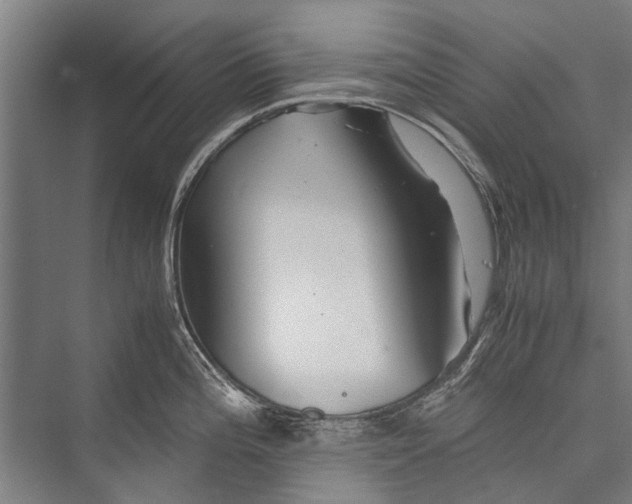 X0000075411196200610061949