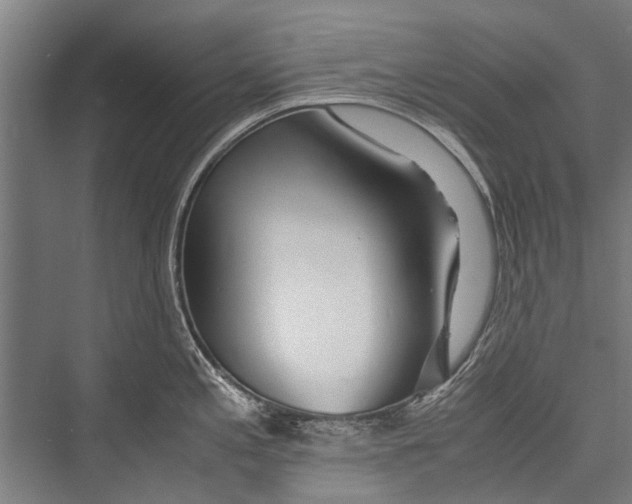 X0000075411197200610061949