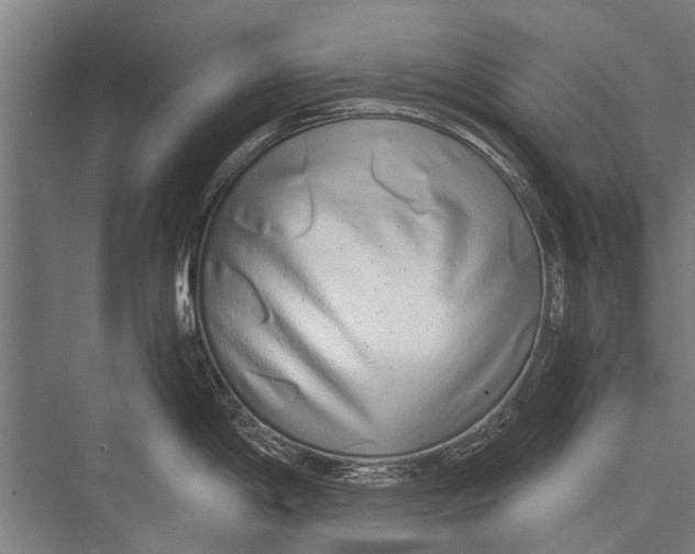 X0000075411198200610061949