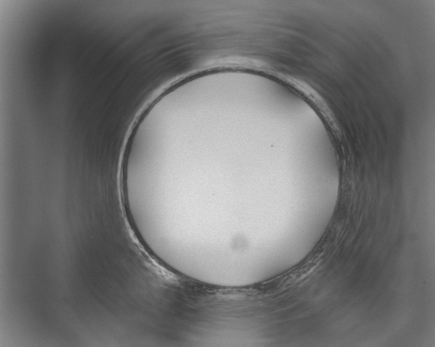 X0000075411199200610061949