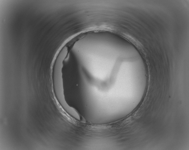 X0000075411200200610061949