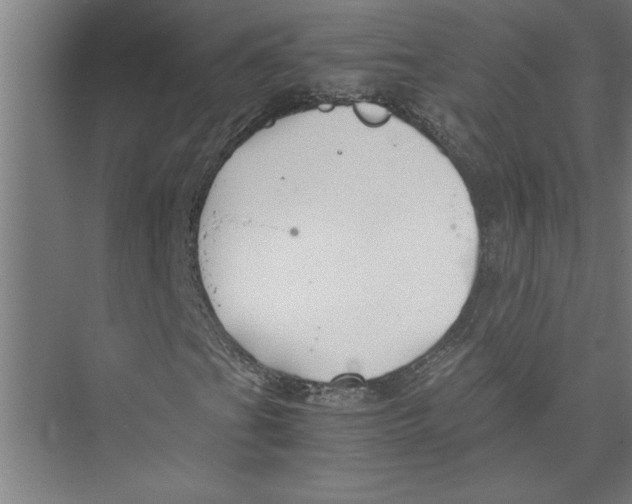 X0000075411201200610061948