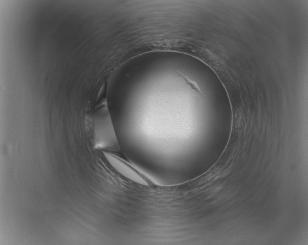 X0000075411202200610061948