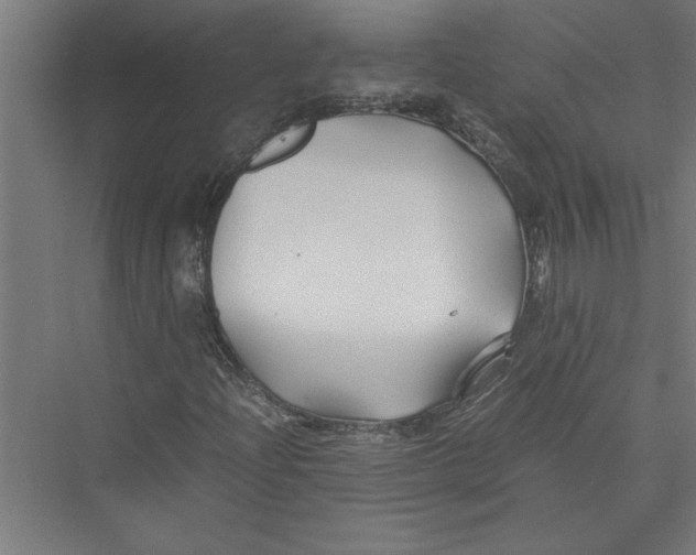 X0000075411204200610061948