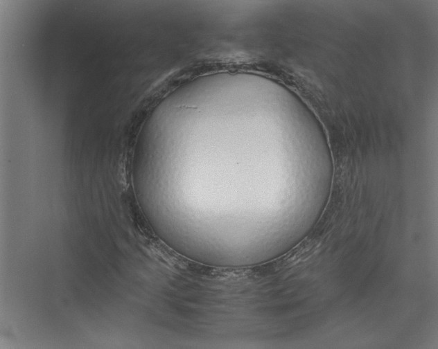 X0000075411205200610061948