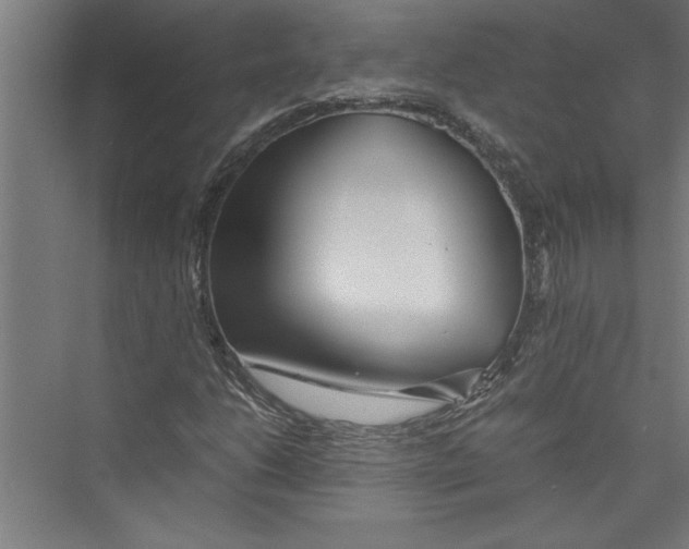 X0000075411206200610061948