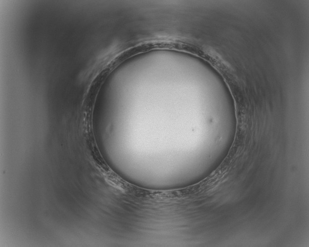 X0000075411208200610061948