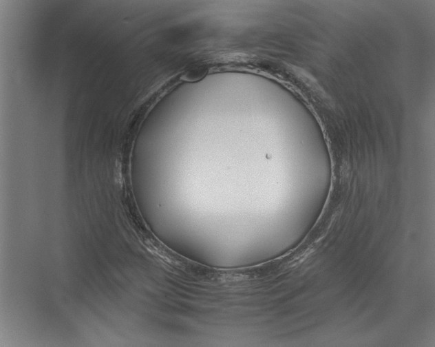 X0000075411209200610061948