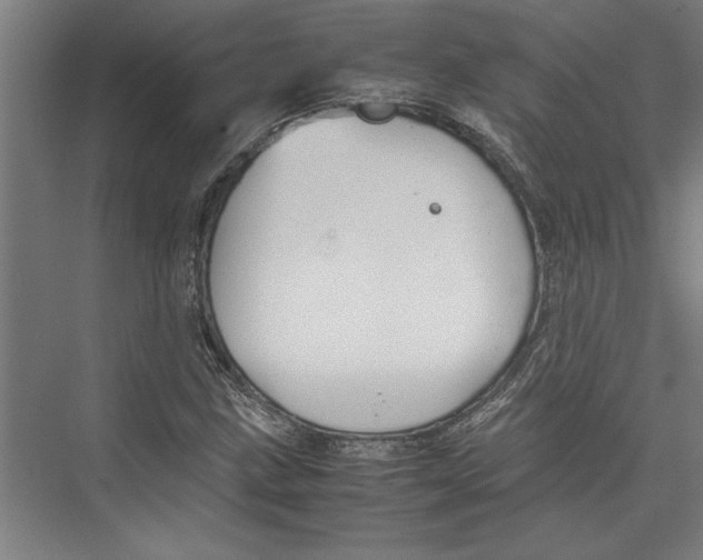 X0000075411211200610061948