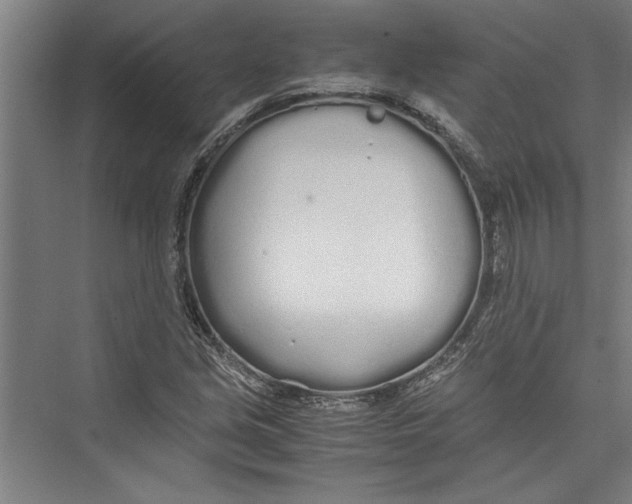 X0000075411213200610061949