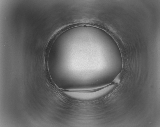 X0000075411214200610061949