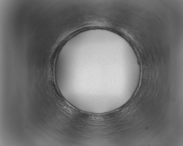 X0000075411215200610061949