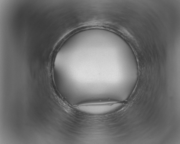 X0000075411216200610061949