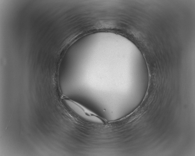 X0000075411217200610061949