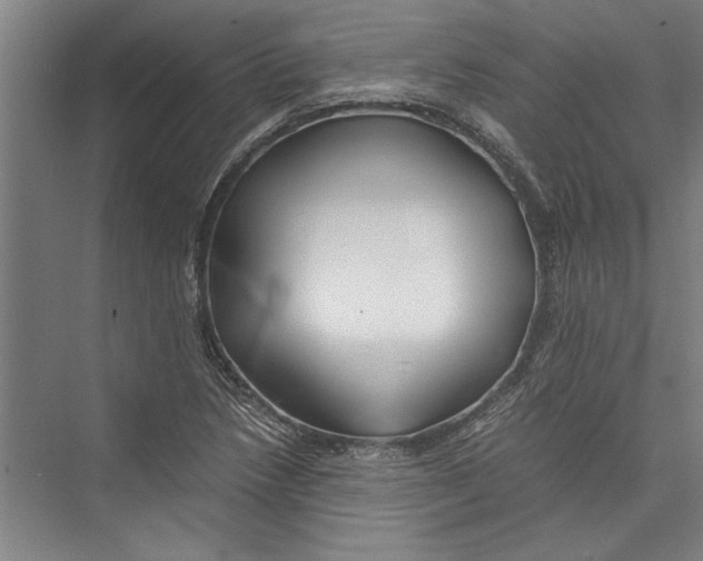 X0000075411218200610061949